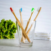 Load image into Gallery viewer, Brosses à dents Ola Bamboo