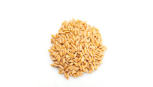 Grains d'épeautre*