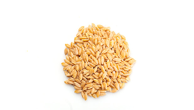 Grains d'épeautre*