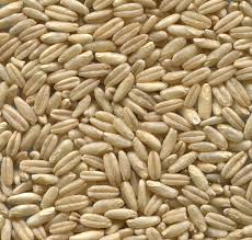 Naked oats (Gaspésie rice)