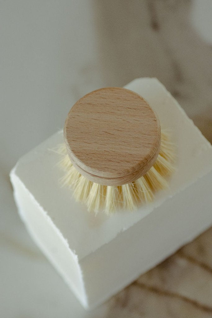 Replacement head for kitchen brush